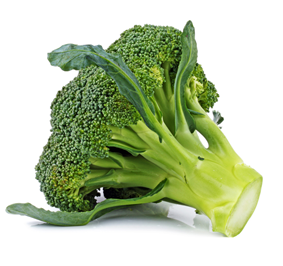 Broccoli