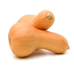 Butternut Squash