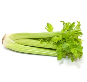 Celery