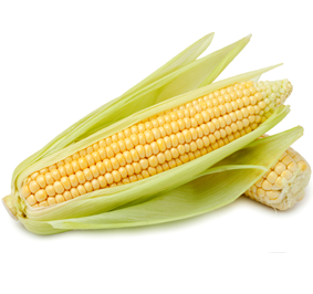 Corn on the Cob