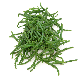 Samphire