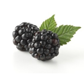 Blackberries