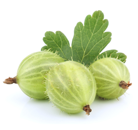 Gooseberries