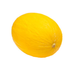 Melon