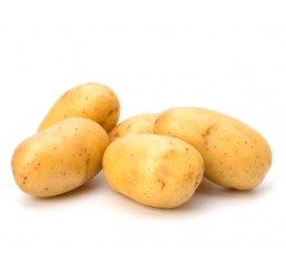 SPANISH NEW POTATOES PER 15KG CASE