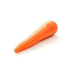 CARROTS *HERITAGE* PER CASE