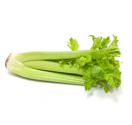 CELERY PER 1X12 CASE *LANCASHIRE*