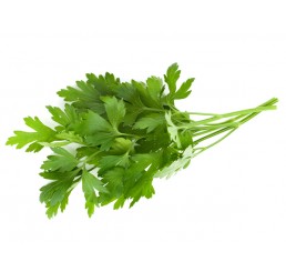 PARSLEY PER CASE *SELECTED*