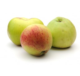 BRAMLEY COOKING APPLES PER 13.6KG BOX