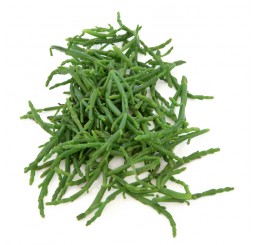 SAMPHIRE PER KILO