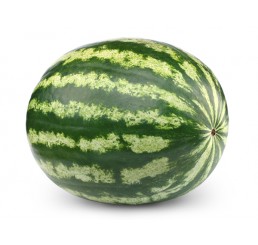 WATER MELONS PER CASE