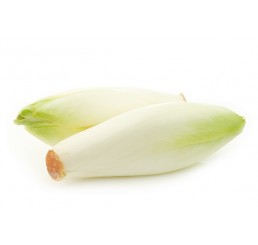 CHICORY PER 5KG CASE