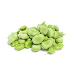 BROAD BEANS PER KG *CHESHIRE*
