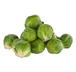 SPROUTS PER 2KG PACK