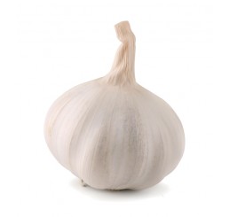 GARLIC PER 500GRM PACK SELECTED