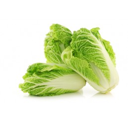 CHINESE CABBAGE EACH