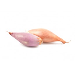 SHALLOTS PER KILO