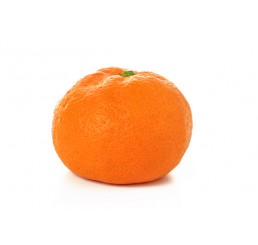 SATSUMAS PER CASE