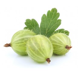 GOOSEBERRIES PER 250GRM PUNNET