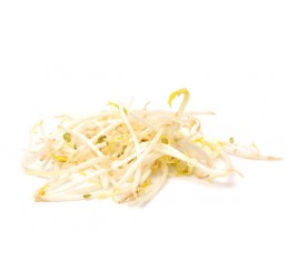 BEANSPROUTS PER 250GRM PACK