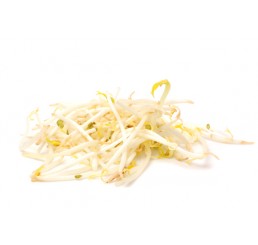 BEANSPROUTS PER CASE 6X250GRM