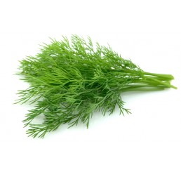 FRESH DILL PER PACK