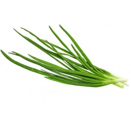FRESH CHIVES PER PACK
