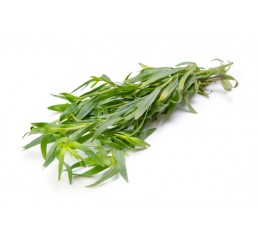 FRESH TARRAGON PER PACK