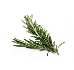 FRESH ROSEMARY PER PACK