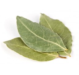 FRESH BAY LEAF PER PACK