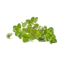 FRESH OREGANO PER PACK