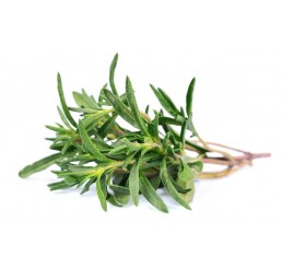 FRESH THYME PER PACK