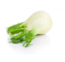 FRESH FENNEL (HERB) PER PACK