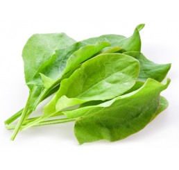 FRESH SORREL PER PACK