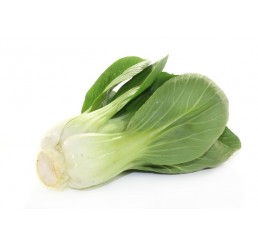 PAK CHOY PER KILO IMPORTED