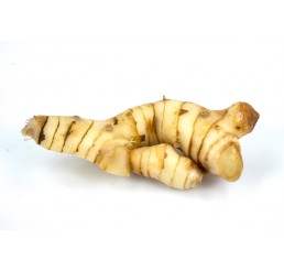 GALANGAL PER BOX THAI