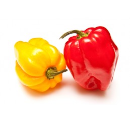 SCOTCH BONNETS PER 250GRM PACK