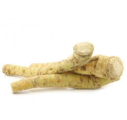 HORSERADISH PER STICK