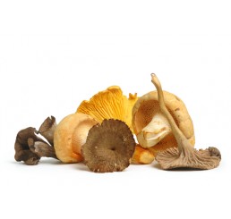 MIXED WILD MUSHROOMS PER 1.25KG CHIP