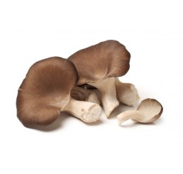 DRIED CEPES MUSHROOMS PER 500GRM PACK