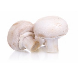 BABY BUTTON MUSHROOMS PER CHIP