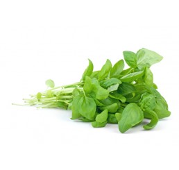 BASIL PER KG