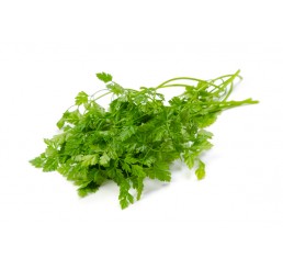 CHERVIL PER KG