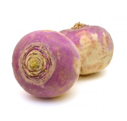 BABY TURNIP PER PUNNET