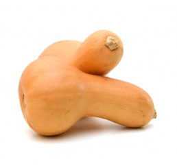 BUTTERNUT SQUASH EACH