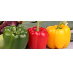 DICED MIXED PEPPERS PER 2.5KG PACK