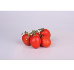 CHERRY VINE TOMATOES PER CASE