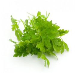 FRESH CHERVIL PER PACK