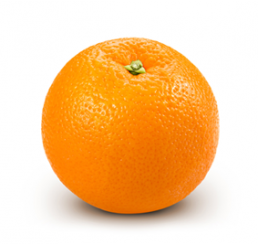 FRESH ORANGE SEGMENTS PER 5LTR TUB