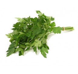 FLAT PARSLEY PER KILO